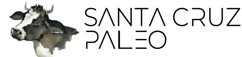 Mysantacruzpaleo